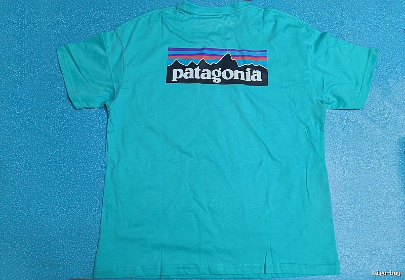 Patagonia Blue Logo T-Shirt Training Look Graphic